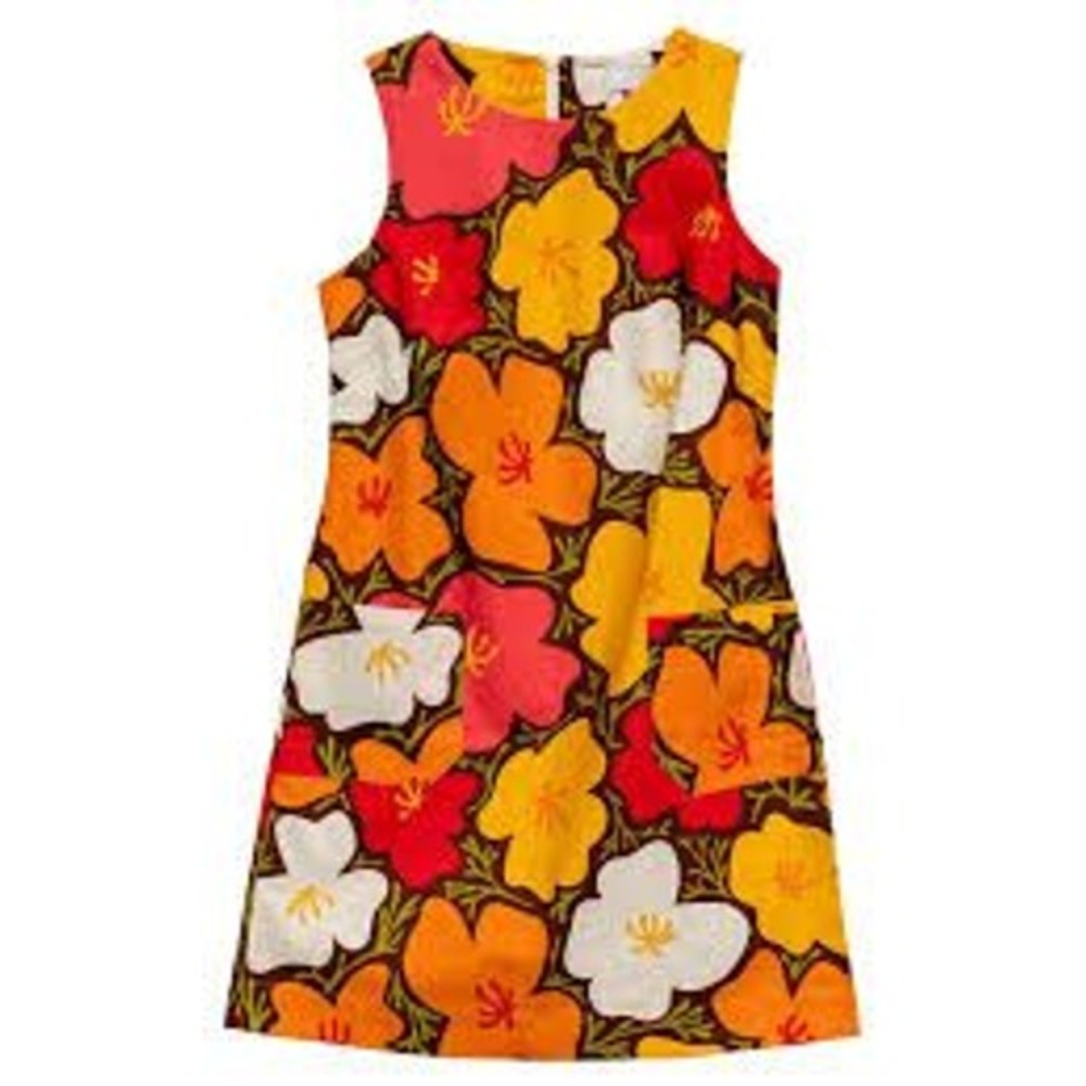 Lesley Evers Molly Vibrant Sleeveless Floral Cotton Shift Dress XS  Retro Mod